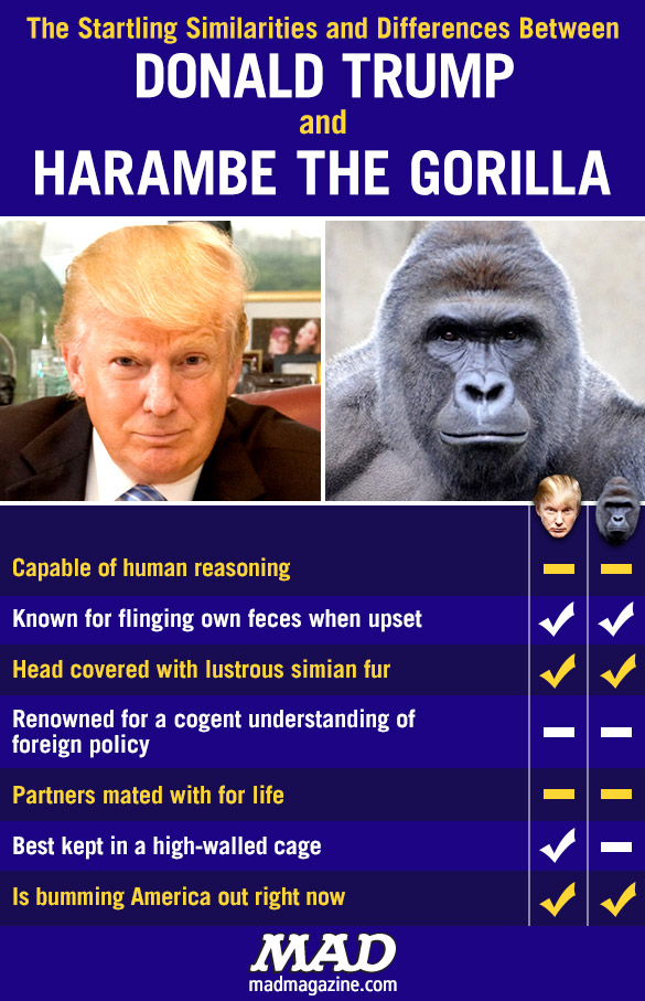 mad-magazine-trump-harambe-gorilla_5807d227abdb38-34018582